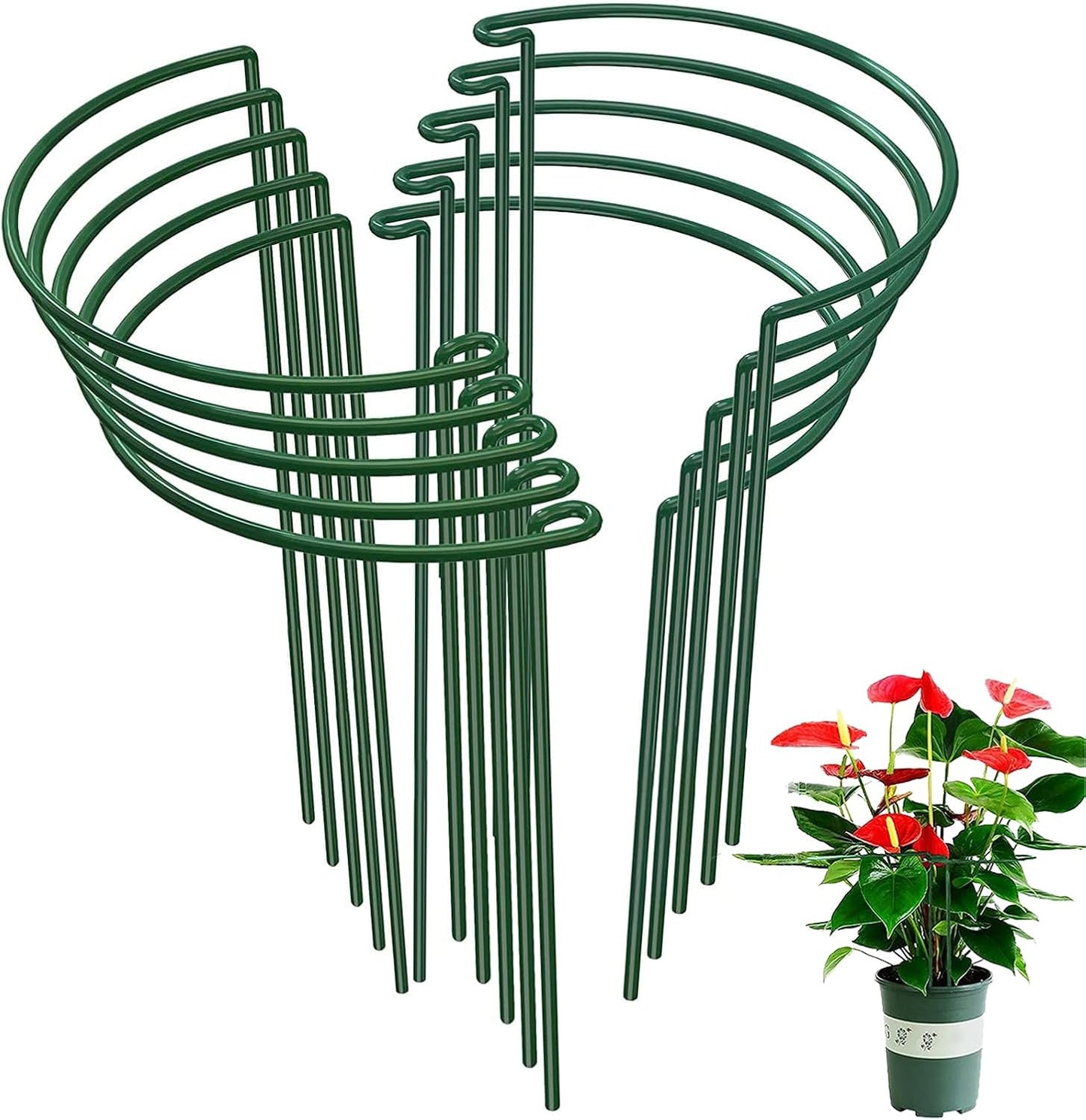 10-Pack Half Round Snake Plant Support Stakes, Plant Support Ring for Hydrangea, Peony, Dahlia and More, Rust-Proof Plant Cages for Indoor and Outdoor Potted Plants (14x8Inch)-VerdiqueGarden