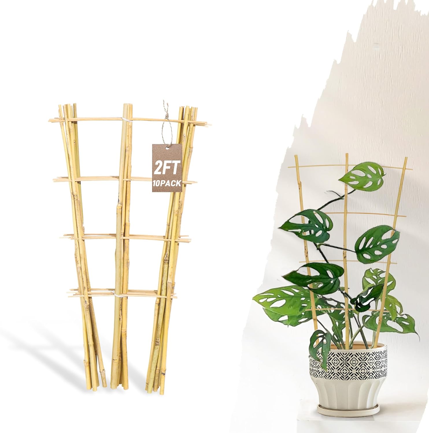 Avalution 10 Pack Bamboo Trellis for Climbing Plants, 2 FT Garden Ladder Trellis for Potted Plants Indoor, Fan-Shaped Small Plant Support Trellis for Houseplants Ivy Hoya Vine Monstera-VerdiqueGarden