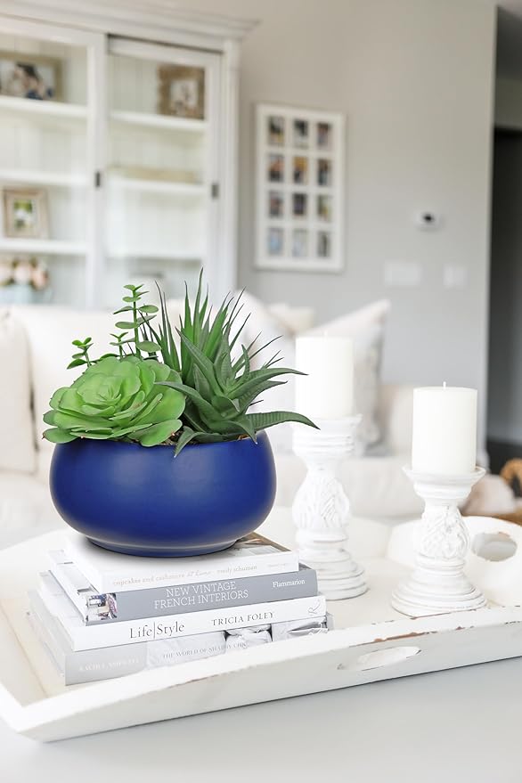 Fake Plants Artificial Succulents in Pots Faux Succulent Arrangement Potted Plant with Blue Ceramic Pot for Home Decor Modern Office Desk Bathroom Shelf Living Room Indoor & Outdoor Decoration-VerdiqueGarden