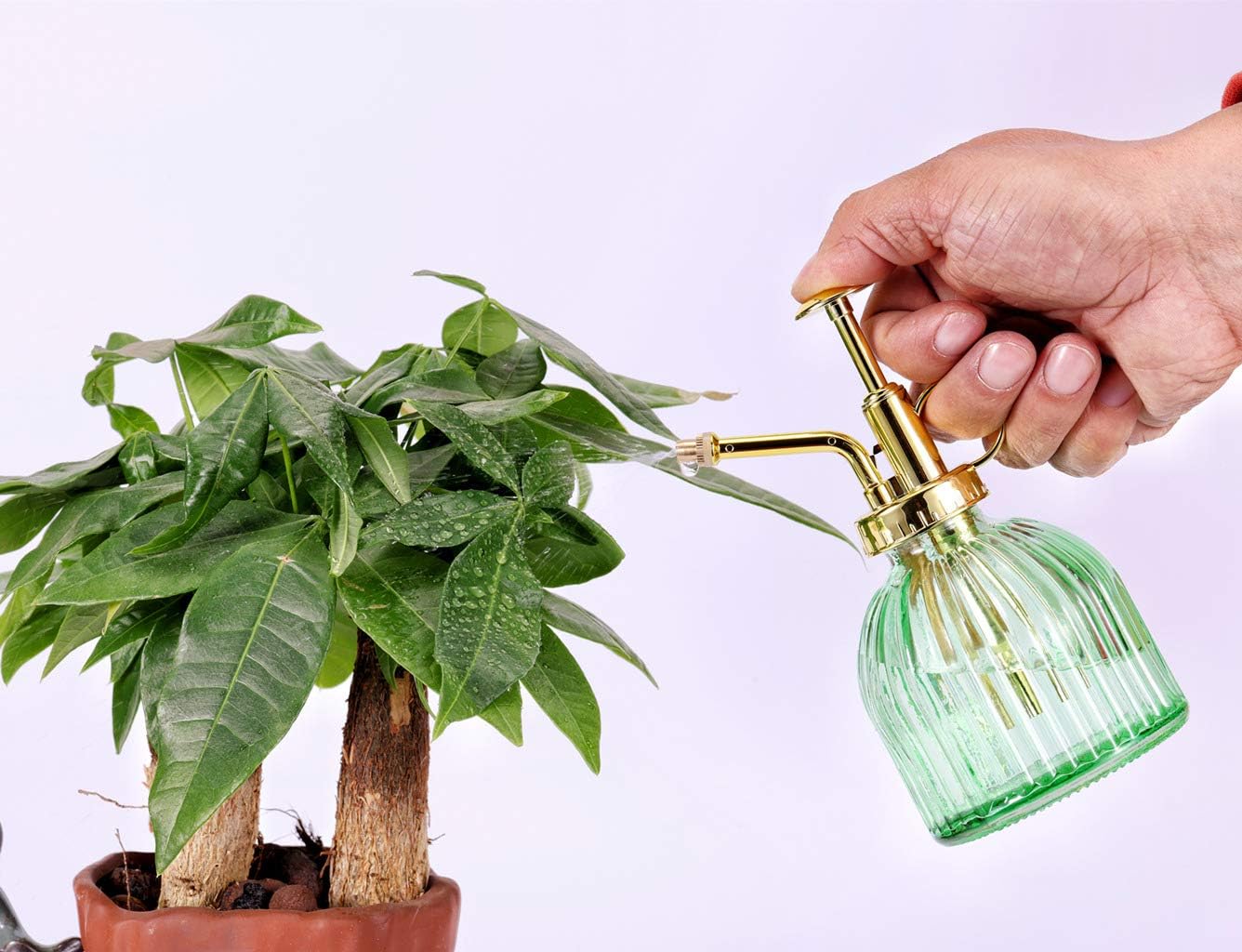 Glass Plant Mister Spray Bottle, 6.5" Green Glass Water Spray Bottle with Gold Top Pump Small Watering Can, Small Plant Sprayer Mister for Indoor Outdoor House (Green+Gold A)-VerdiqueGarden