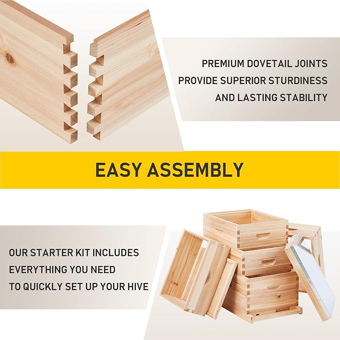 CREWORKS 5 Layer Bee Hive, Beehive for Honey, Bee Box Beekeeping Supplies, Hive Kit for Starter Beekeeper (No Frames)-VerdiqueGarden