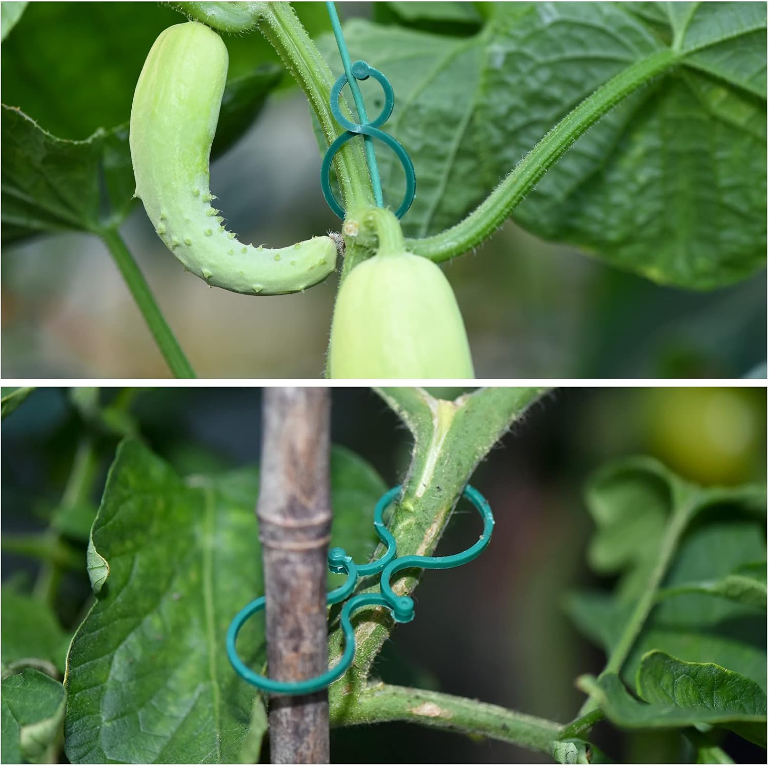 118ft Soft Green Twist Garden Ties with 20PCS Clips for Plants - 2mm Diameter-VerdiqueGarden