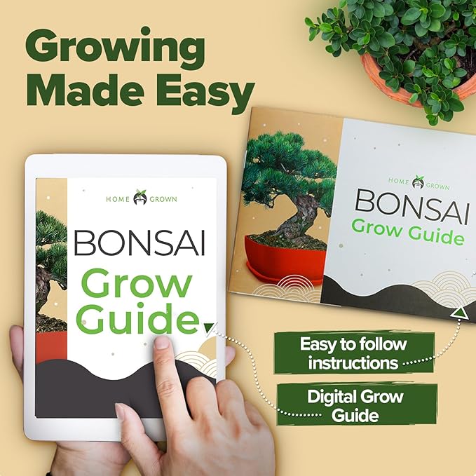 Bonsai Tree Kit - Gifts for Men & Women (Master Kit)-VerdiqueGarden