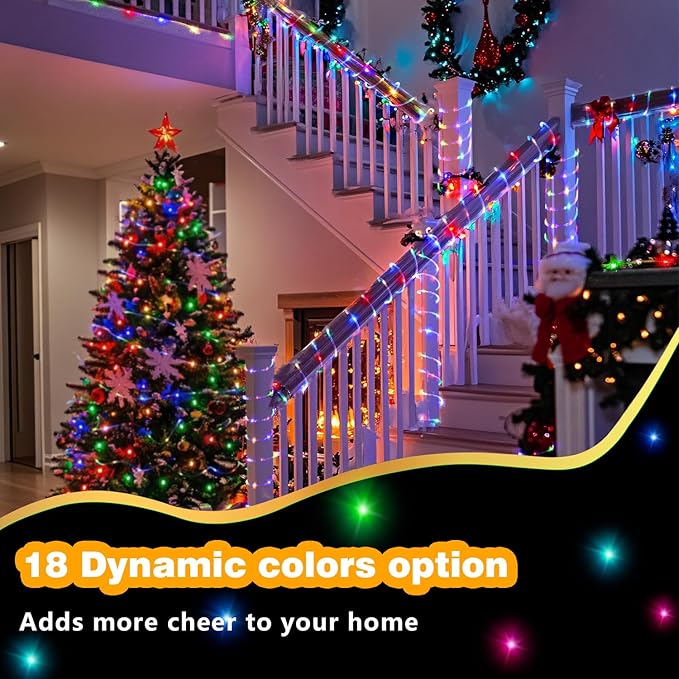 RGBW LED Rope Lights Outdoor with USB Powered, 33Ft 100 LED String Lights Indoor with Remote, 20 Color Changing Fairy Lights for Outside Garden Party Wedding Christmas-VerdiqueGarden