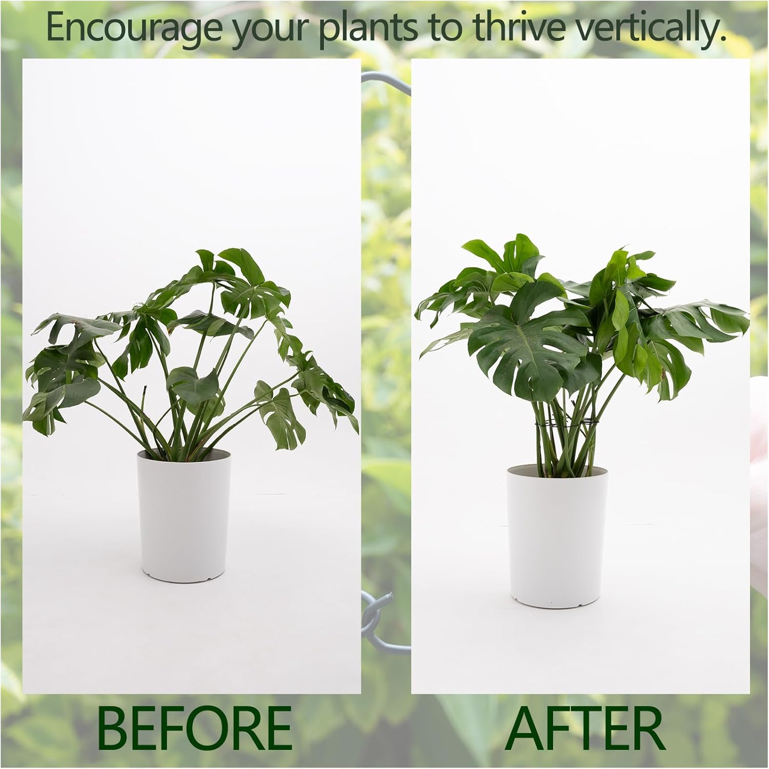 5PCS Monstera Plant Stem Support -7.3*6.25IN Adjustable Metal Stake for Climbing Plants, Durable Garden Support with Gentle Grips, Ideal for Indoor & Outdoor Use, Ideal Gift for Plant Lovers-VerdiqueGarden