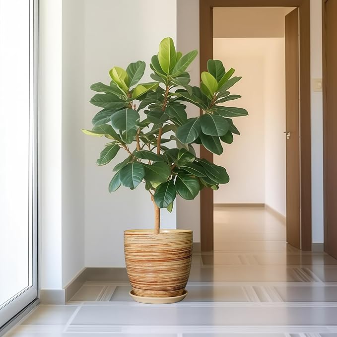 12 Inch Planter Pot Ceramic Plant Pots for Plants with Drainage Hole and Saucer Large Flower Pot for Home Patio Garden Office Yellow-VerdiqueGarden