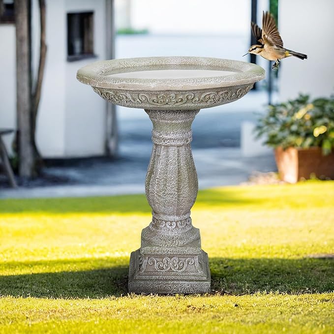 SunJet 23.8 Inch High Concrete Bird Bath with Carved Pedestal – Birdbath Sturdy & Elegant Design, Stone-Like Texture, Attracts Birds and Enhances Garden, Patio, Yard, Lawn Decor-VerdiqueGarden