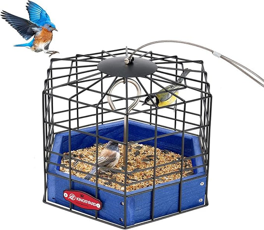 Kingsyard Squirrel Proof Platform Bird Feeder for Outdoor Hanging, Caged Bird Feeder for Bluebird Mealworm, Recycled Plastic Feeding Platform with Metal Mesh Tray, Special for Small Birds, Blue-VerdiqueGarden
