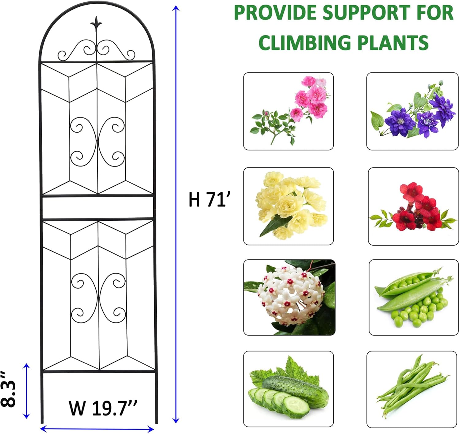4 Pack Metal Garden Trellis 71" Tall Outdoor Climbing Plant Support for Roses, Flowers, Rustproof Durable Black Galvanized Tube, Lawn Garden Fence Decor Screen (4, Castle-71 H)-VerdiqueGarden