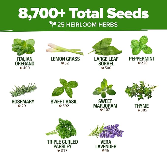 HOME GROWN 25 Herb Seeds for Planting 8,700+ Non-GMO Heirloom Seeds | Extra Large Variety Pack Herb Kit – Indoor Outdoor & Hydroponic | Culinary Seed Set | Grow Your Own Herbs | Gardening Gift-VerdiqueGarden