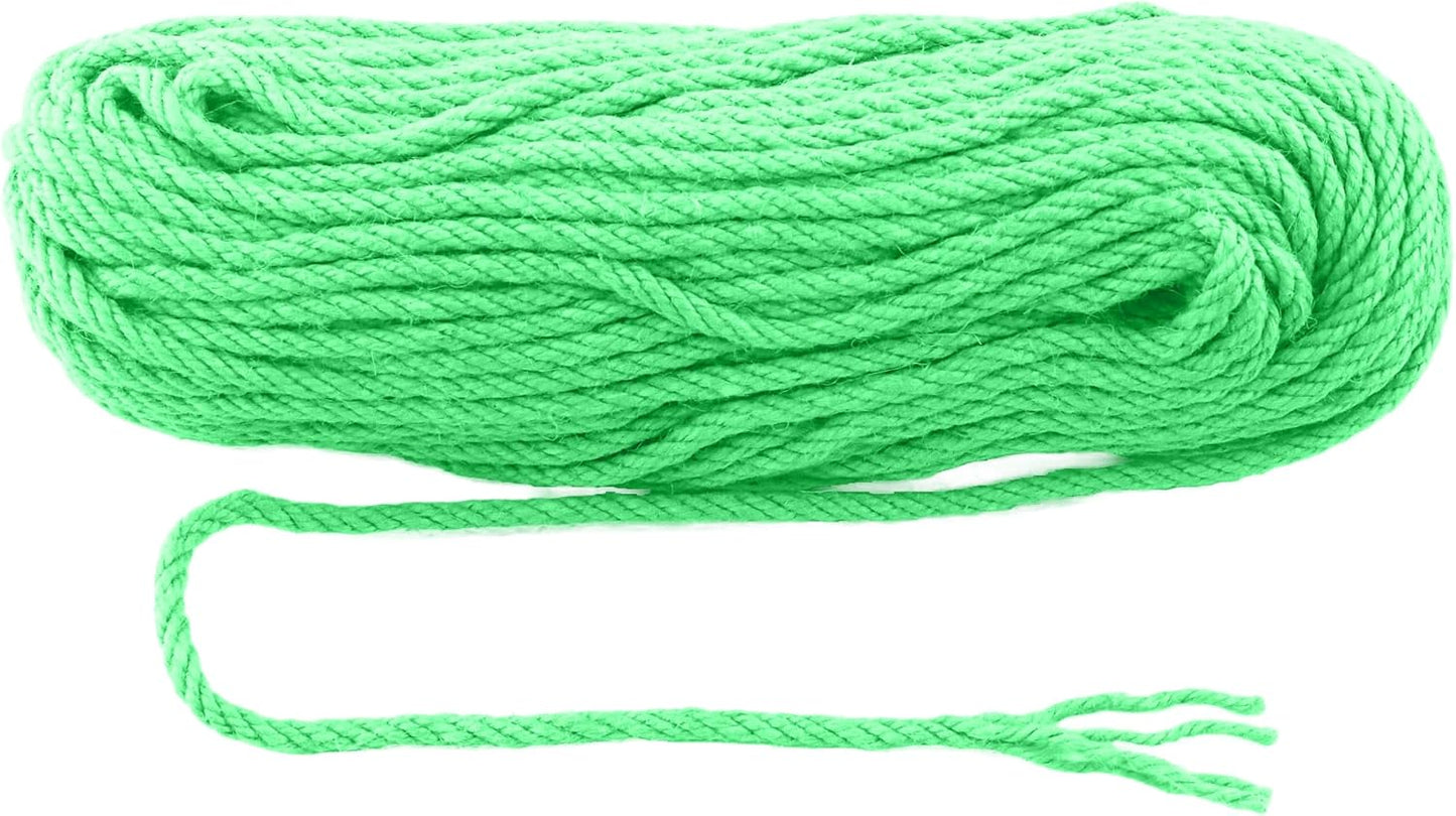 6mm x 200 Feet Light Green Jute Rope, Twine for Gardening Tomato Climbing Plant Tie Floristry Crafts Gift Wrapping Packing Decor-VerdiqueGarden