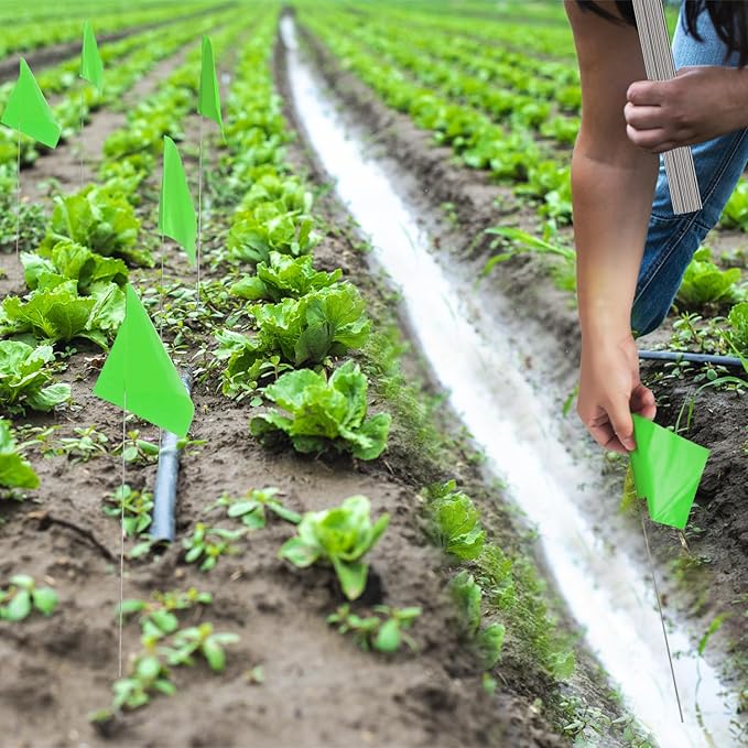 Zozen 100Pack Green Marking Flags, Writable/15x4x5 Inch, Yard Flags for Lawn & Irrigation & Landscape & Sprinkler & Survey & Dog Training.-VerdiqueGarden