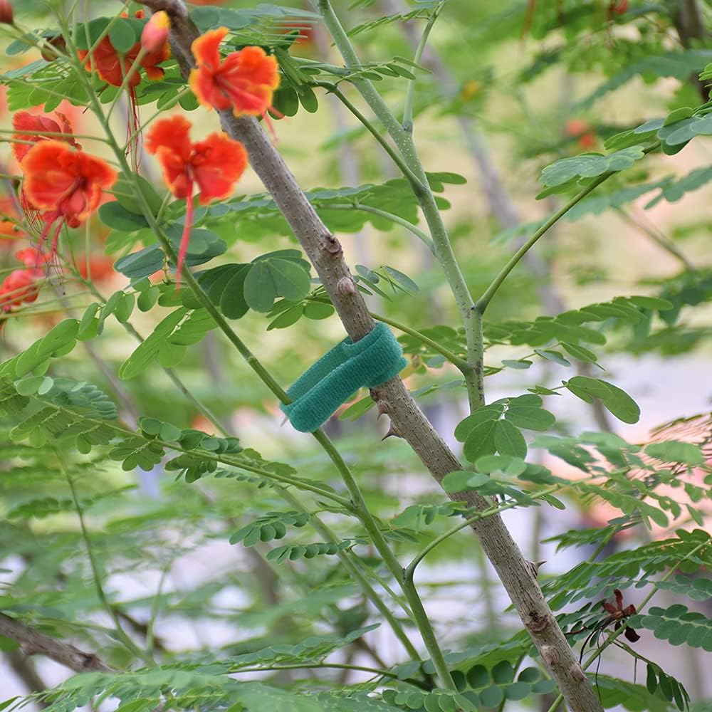 Hook＆Loop Garden Plant Cable Ties, Adjustable Garden Nylon Ties for Supporting Plant and Vines, Multi-Functional Ties(100 Pcs, 8 Inch, Green)-VerdiqueGarden