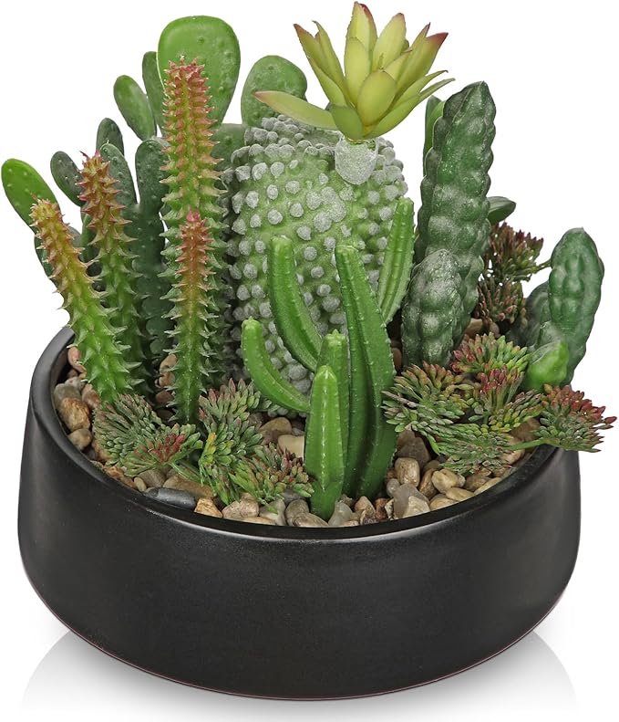 DILATATA Artificial Cactus Plants in Pot 5.5 Inch Fake Succulents Arrangement Potted Plant in Black Ceramic Planter Bowl for Home Office Desk Shelf Living Room Bedroom Bathroom Decor-VerdiqueGarden
