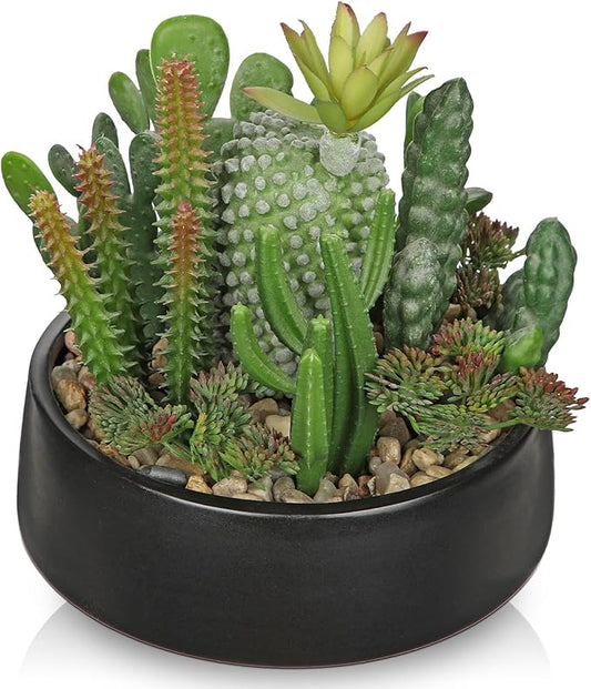 DILATATA Artificial Cactus Plants in Pot 5.5 Inch Fake Succulents Arrangement Potted Plant in Black Ceramic Planter Bowl for Home Office Desk Shelf Living Room Bedroom Bathroom Decor-VerdiqueGarden