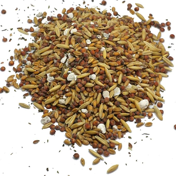 Pampered Chicken Mama Backyard Feed - Premium Scratch Treat - High Protein & Calcium All-Natural Grower Feed Supplies for Laying Chickens (2.5 Pounds)-VerdiqueGarden