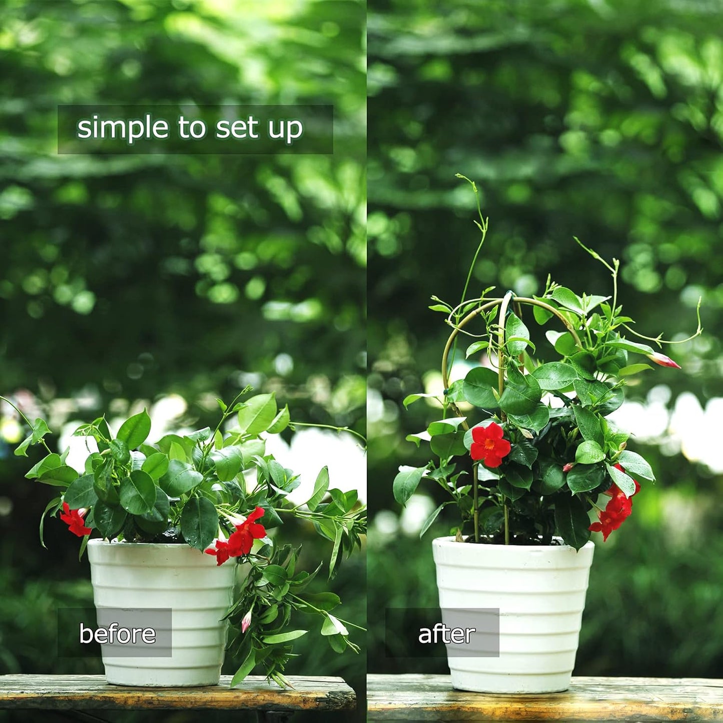 Plant Trellis Indoor 16in, Loop-Shaped Bamboo Trellis - 3 Pack for Climbing Plants, Hoya, Potted Plants-VerdiqueGarden