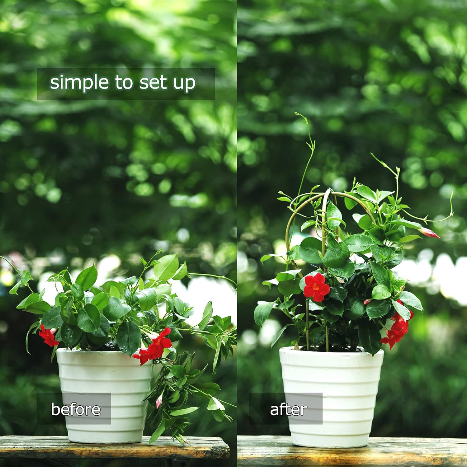 Plant Trellis Indoor 16in, Loop-Shaped Bamboo Trellis - 3 Pack for Climbing Plants, Hoya, Potted Plants-VerdiqueGarden