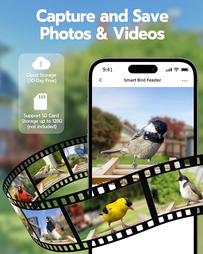 Bird Feeder with Camera, Smart Wild Bird Feeder for Outdoors with AI Identify, Solar Bird Feeder Watching Camera Auto Capture Birds & Real-time Notifications, Gifts for Birdlover (Arch)-VerdiqueGarden