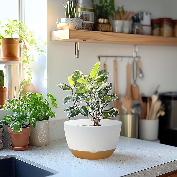 10 Inch Pots for Indoor Plants, Large Self Watering Planters with Drainage and Saucers, Plastic Outdoor Flower Pot, Set of 2, White-VerdiqueGarden