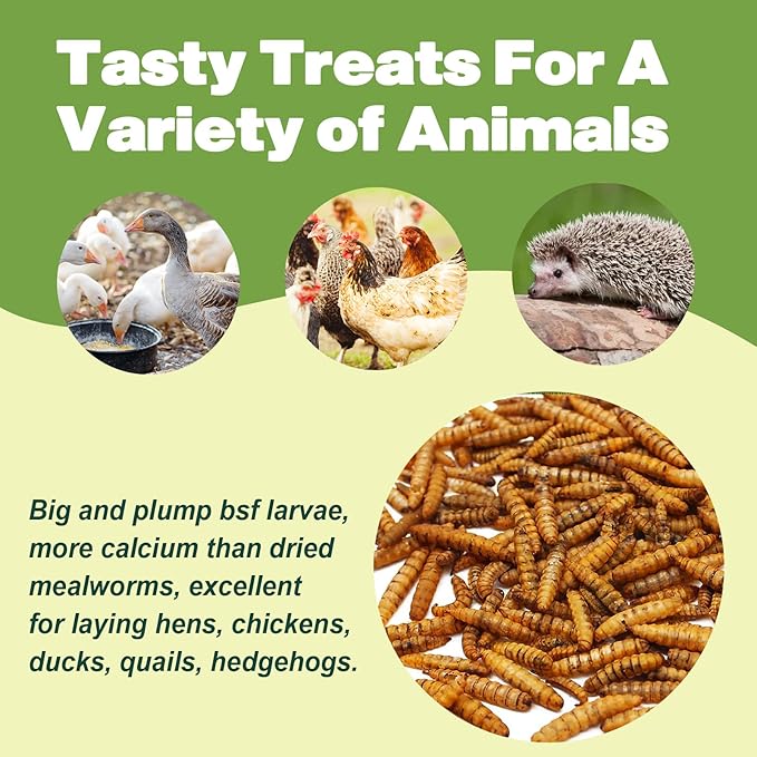 22LB Dried Black Soldier Fly Larvae, 2 Pack of 11 LBS, 86X Calcium Than Dried Mealworms, High Protein Non-GMO Organic Chicken Feed-VerdiqueGarden