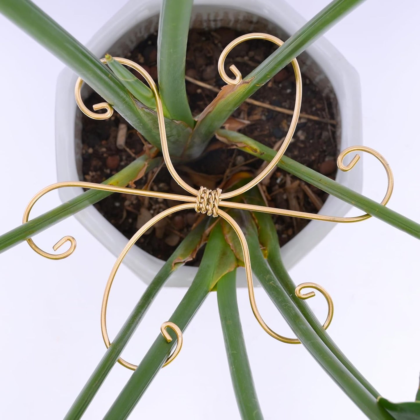 5PCS 7.5 Inch Monstera Plant Stem Support Hook - Premium Metal Structure for Indoor Plants, Durable and Elegant Stem Holder with Soft Touch Clips for Stable Growth-VerdiqueGarden