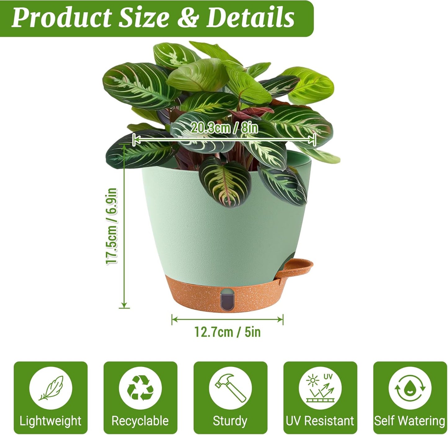 2 Pack 8 Inch Pots for Plants Indoor, Plastic Self Watering Planters with Drainage Holes, Water Level Indicator & Deep Reservoir, Decorative Flower Pots Indoor Outdoor Use (Green-VerdiqueGarden
