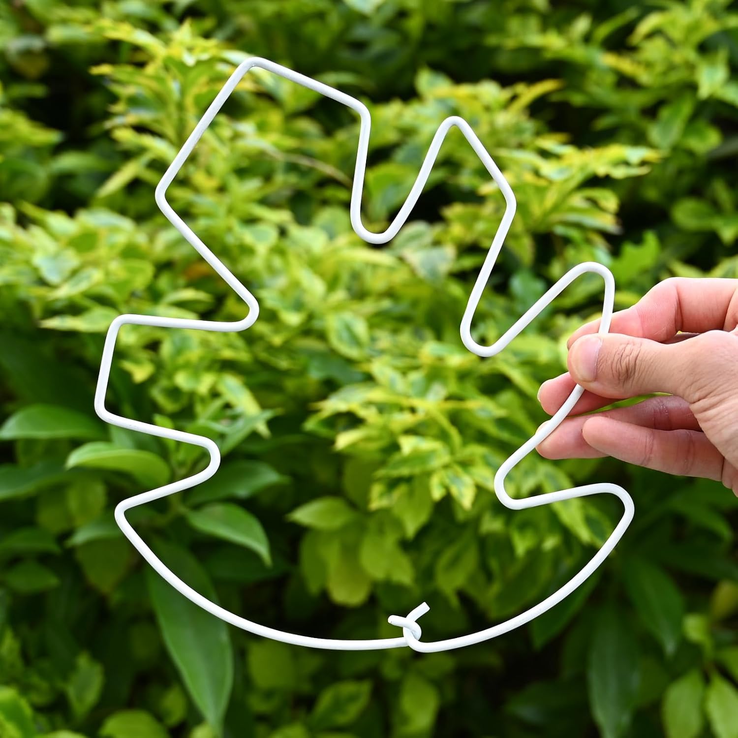 5PCS Monstera Plant Stem Support White 9 * 7.6in - Durable Stake Holder for Indoor Climbing Plants, Adjustable Installation Ideal for Fishbone Cactus and Plant Enthusiasts-VerdiqueGarden