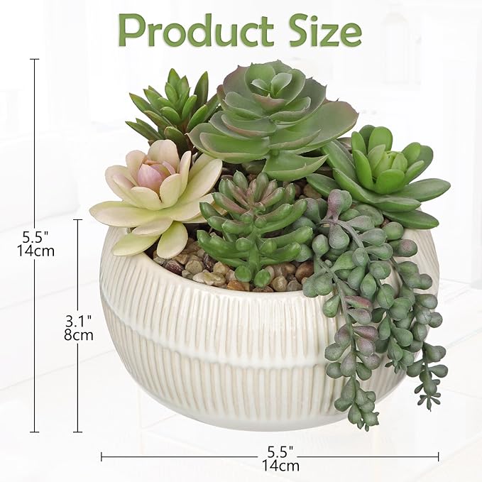 DILATATA Artificial Succulent Plants in Pot 5.5 Inch Fake Succulents Arrangement Potted Plant in White Ceramic Planter Bowl for Home Office Desk Shelf Living Room Bedroom Bathroom Decor-VerdiqueGarden