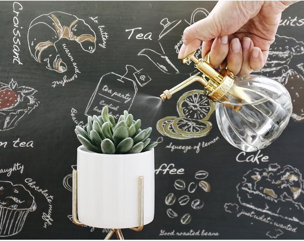 Plant Mister, 6.5" Tall Decorative Glass Water Spray Bottle with Gold Top Pump Small Watering Can by Ebristar - Clear-VerdiqueGarden