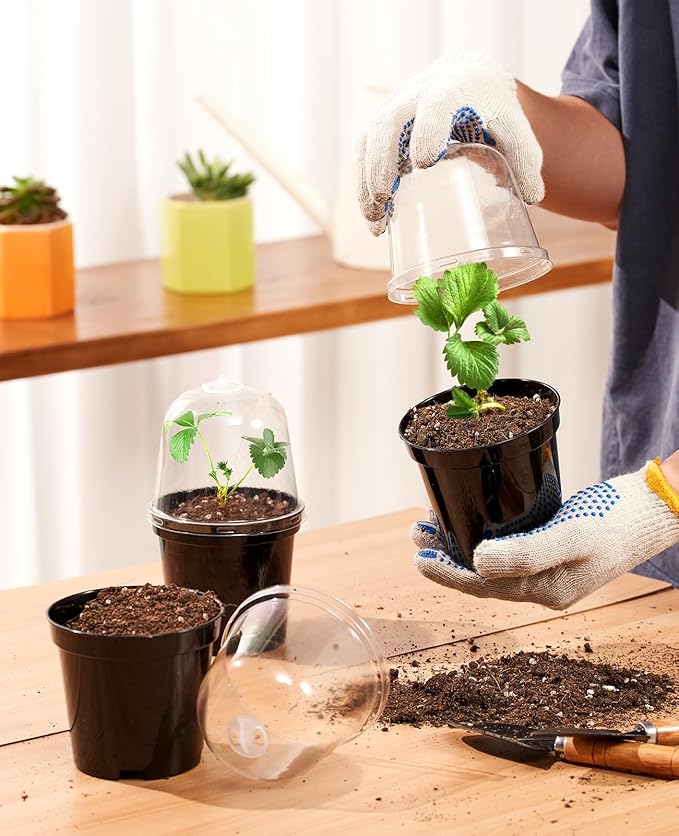 homenote Nursery Pots for Plants,4 Inch Plant Pot for Planting with Humidity Domes Plastic Seedling with Drainage Holes Seed Starter Flower with 10 Labels Black (30 Pack)-VerdiqueGarden