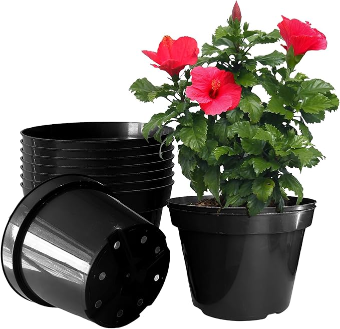 10 Inch Plastic Nursery Pots for Plants 10 Pack Plant Pots with Drainage Holes 2 Gallon Nursery Pots Perfect for Indoor Outdoor Plants Such as Herbs, Strwaberrys and Flowers, Black-VerdiqueGarden