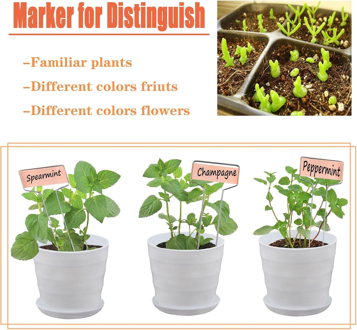 30pcs Plant Labels Copper Plant Markers for Outdoor Plants 6inch Plant Labels for Seedlings Outdoor Garden Waterproof Plant Tags and Labels for Flower Vegetable Herbs Greenhouse (6 in, Copper)-VerdiqueGarden