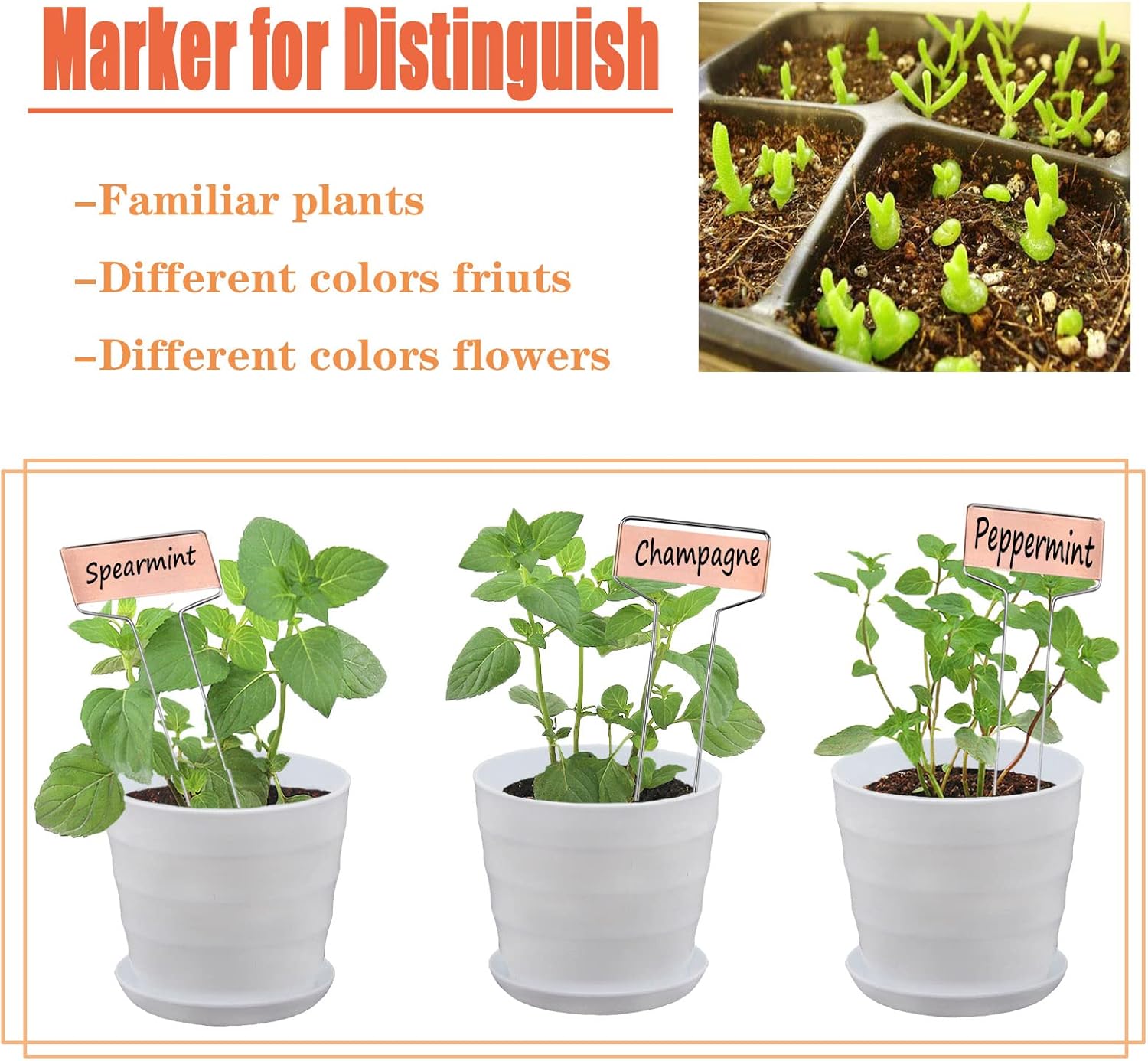 30pcs Plant Labels Copper Plant Markers for Outdoor Plants 6inch Plant Labels for Seedlings Outdoor Garden Waterproof Plant Tags and Labels for Flower Vegetable Herbs Greenhouse (6 in, Copper)-VerdiqueGarden