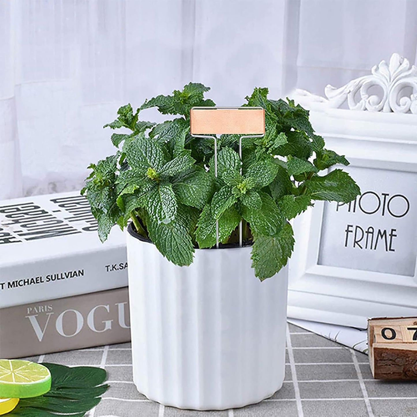 Foraineam 30 Pack 10 Inch High Copper Plate Metal Plant Labels Garden Stake Tags Reusable Planting Gardening Markers-VerdiqueGarden