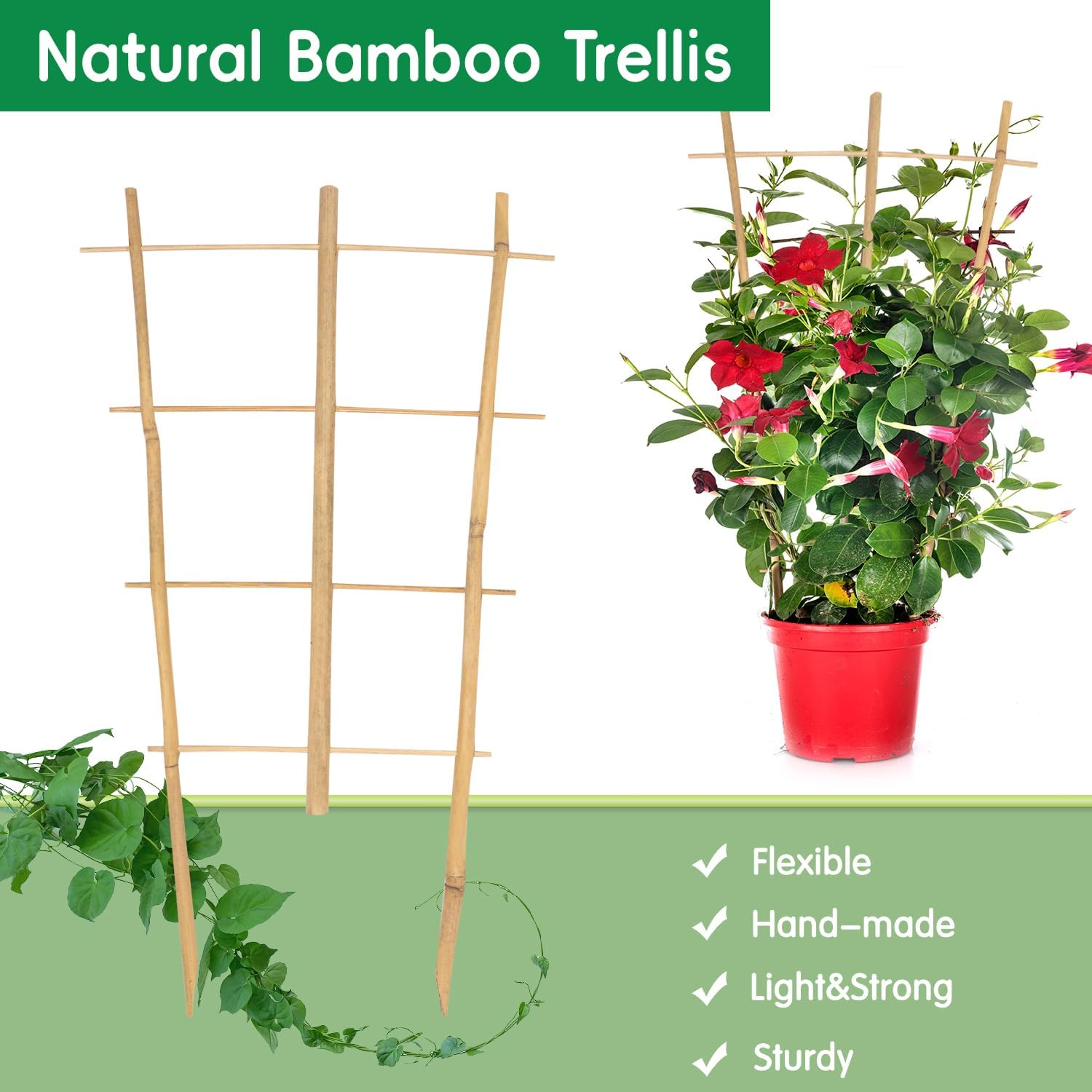 Garden Bamboo Trellis 16 Inch Fan Shaped Small Plant Trellis,Natural Wood Trellis for Climbing Plants Orchid Monstera Indoor Potted Plants-6 Pack-VerdiqueGarden
