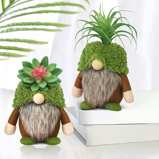 Upltowtme Succulent Gnomes Spring Green Plants Gnomes Swedish Plush Tiered Tray Decoration Tomte Doll Decor Cacti Nordic Dwarf Home Stuffed Gnomes Collection Garden Gift for Her Him Plant Lover-VerdiqueGarden