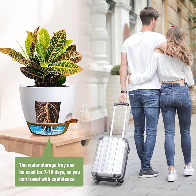 10/9/8 inch Self Watering Pots, Set of 3 Plastic Planters with Mesh Drainage Holes and Deep Reservoir for Indoor Outdoor Garden Plants and Flowers, White with Brown-VerdiqueGarden