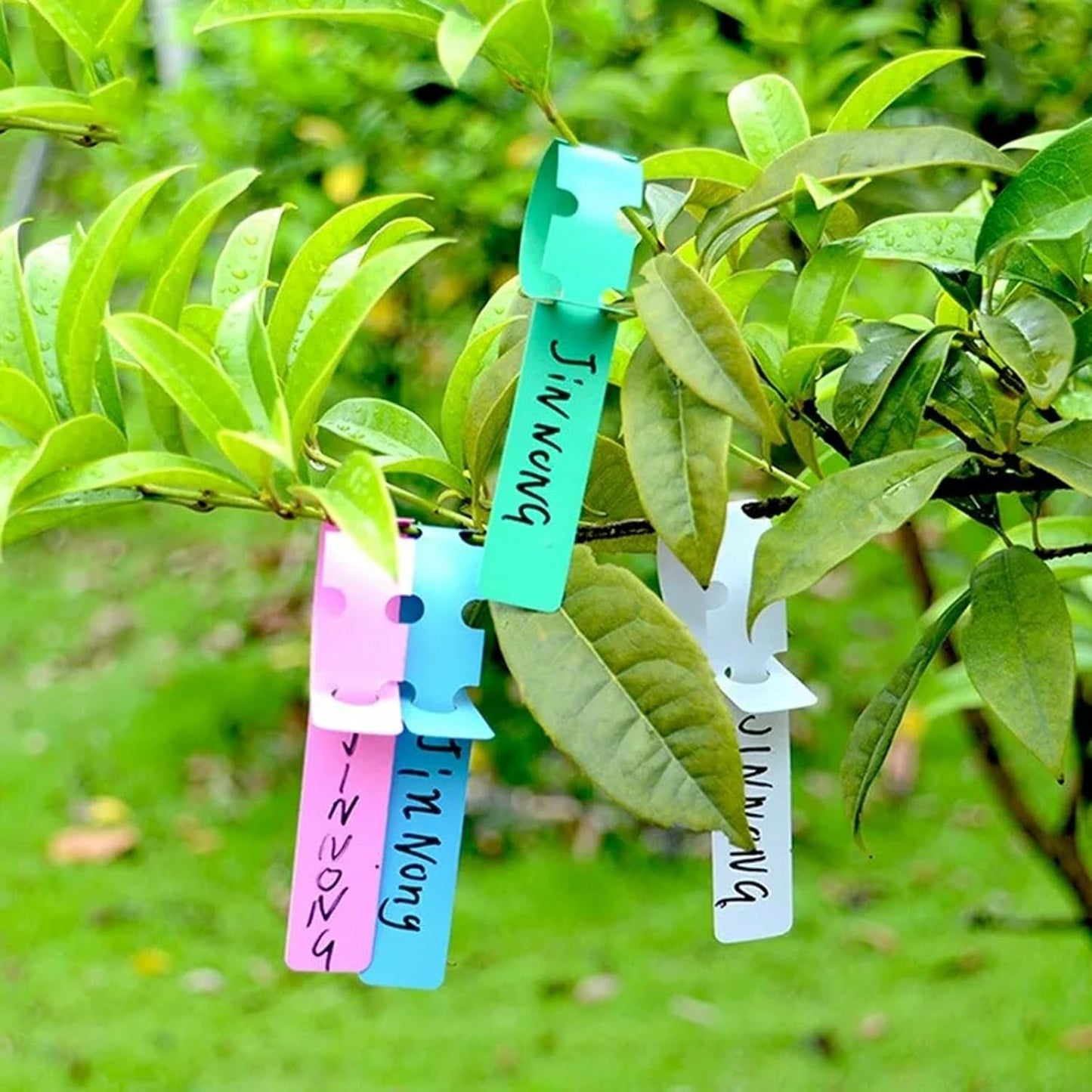 KEILEOHO 1200 PCS 6 Colors Plastic Plant Tags Wrap Around, Outdoor Waterproof Plant Labels, Nursery Garden Markers with Large Writing Surface, Adjustable Hanging Labels for Identifying Plants-VerdiqueGarden