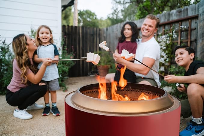 Solo Stove Yukon 27 Inch Smokeless Fire Pit with Removable Ash Pan - Wood Burning Portable Stainless Steel Outdoor Fireplace, Stainless Steel, Ideal for 6 or More People, 38 lbs,Mulberry-VerdiqueGarden