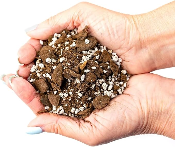 Palm Tree Potting Mix - The Ultimate Soil for Strong and Healthy Palms - Top Choice for Palm Tree Growers [10 Quart Bag]-VerdiqueGarden