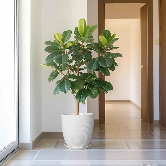 12 Inch Ceramic Planter Pot, Large Planter Pot with Drainage Hole and Saucer Round Flower Pot for Indoor Outdoor Plants, White-VerdiqueGarden