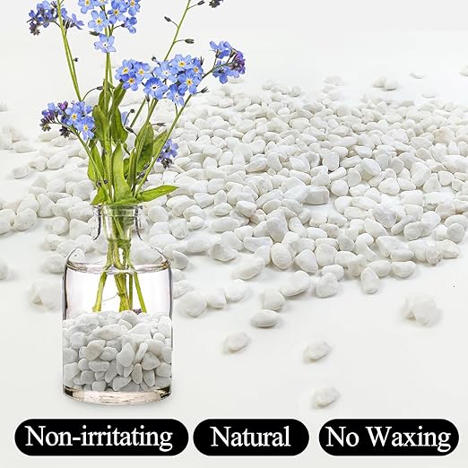 10lbs White Pebbles for Landscaping, 3/8inch Small Rocks for Succulent Cactus Planters, Natural Polished Pebbles, River Rocks for Plants, Vases, Garden-VerdiqueGarden