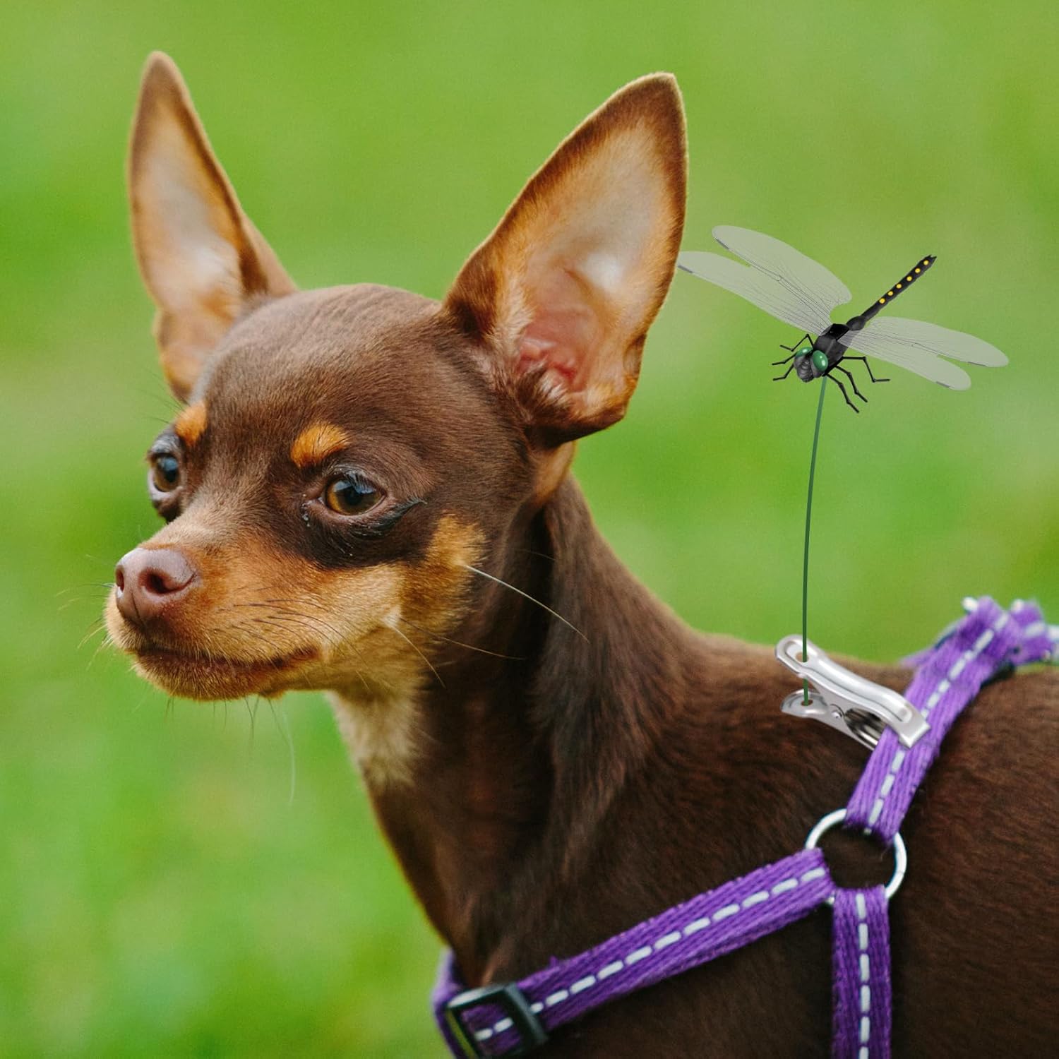 NiHome 12-Pack Large Dragonfly Clip Decoration Set for Garden, Hat, Pet, Indoor & Outdoor Display, Easy Installation Realistic Waterproof PVC Dragonflies (Black)-VerdiqueGarden