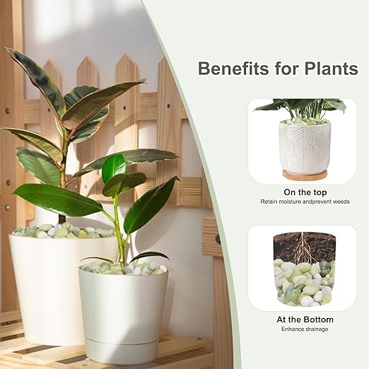 10 lbs Jade Pebbles for Indoor Plants, Decorative Pebbles for Bamboo, Vase, 3/8" Plant Gravel for Pots Indoor, Highly Polished Small River Rocks-VerdiqueGarden