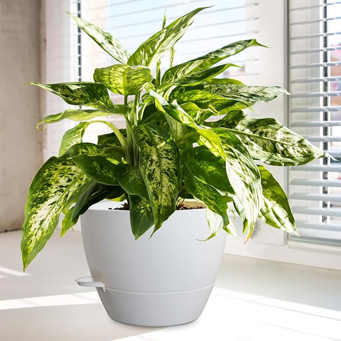 10/9/8 inch Medium Self Watering Pots, Plant Pots with Mesh Drainage Holes for Indoor Outdoor Garden Plants, Flower Pots with Removable Reservoir, Set of 3 Plastic Planters, White-VerdiqueGarden