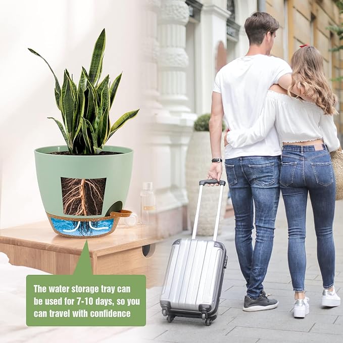 10/9/8 inch Self Watering Pots, Set of 3 Plastic Planters with Mesh Drainage Holes and Deep Reservoir for Indoor Outdoor Garden Plants and Flowers, Green with Brown-VerdiqueGarden