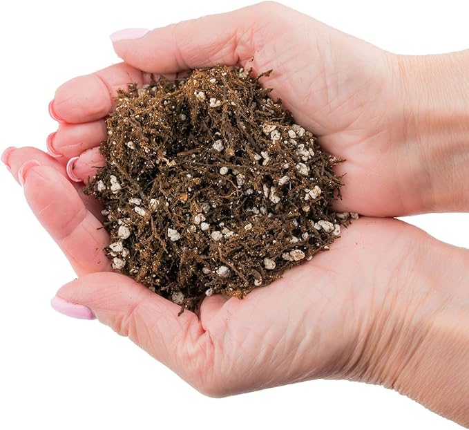Fern + Perlite Soil Mix for Repotting and Planting Succulents and Cactuses - 5 Quart Bag-VerdiqueGarden