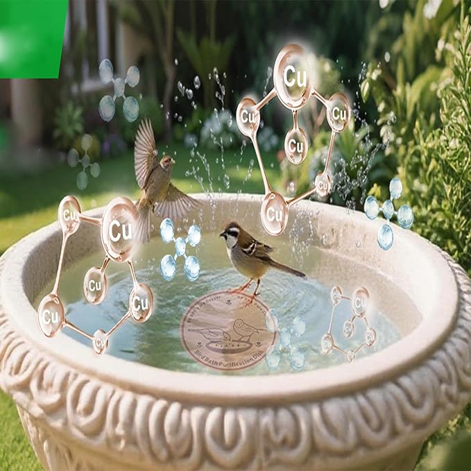 4-Pack 99.99% Pure Copper Bird Bath Purification Disk,Copper Disc with Stable Triple-Point Support,Fits All Outdoor Bird Baths(Round)-VerdiqueGarden