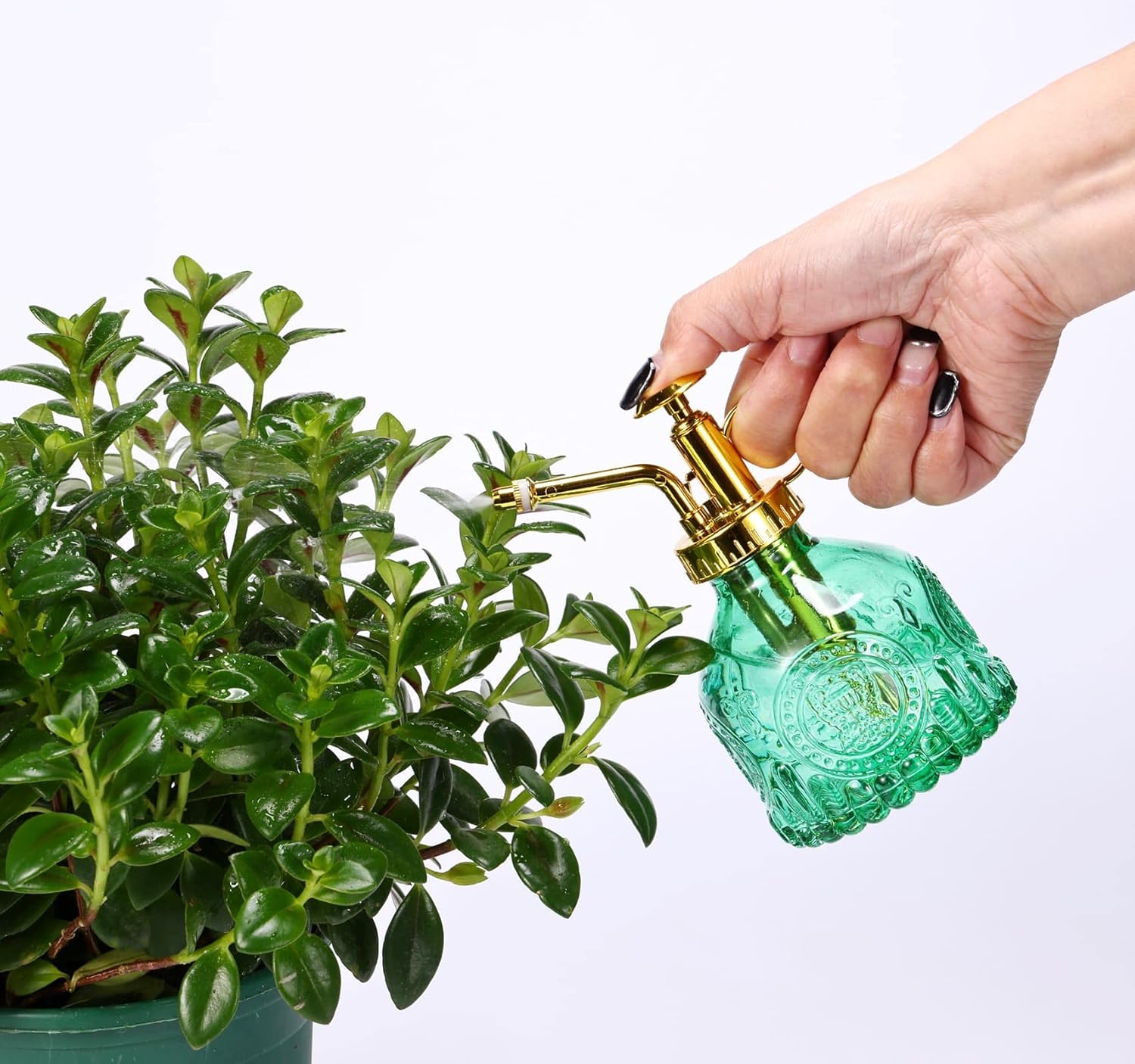 Glass Plant Mister Spray Bottle, 6.5" Green Glass Water Spray Bottle with Gold Top Pump Small Watering Can, Small Plant Sprayer Mister for Indoor Outdoor House, Green+Gold (Green+Gold D)-VerdiqueGarden